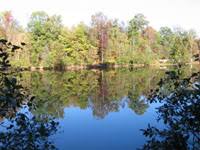 Reedy Creek Nature Center & Nature Preserve de Charlotte | Horario, Mapa y entradas 3