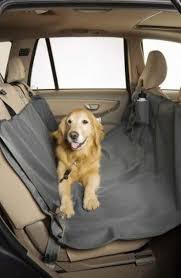 Dog Hammock For Your Car