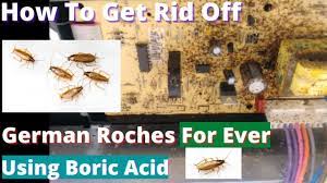 get rid of german roaches for good