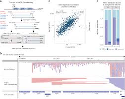 Smrt Cappable Seq Reveals Complex Operon Variants In