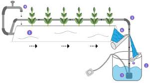 hydroponic herb gardens the ultimate