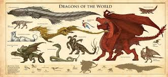 Image Result For Dragon Wyvern Drake Chart In 2019 Types