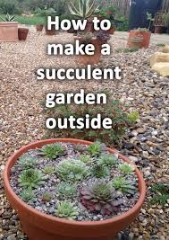 How To Make A Succulent Garden Outside