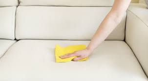 sofa fabric care and clean naturally