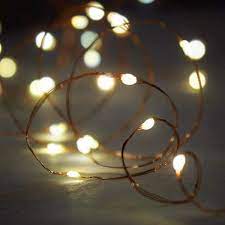 Copper Wire Led Fairy String Light