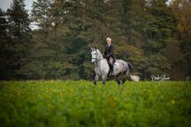 Aber ich habe im englischen garten schon mehrmals gesehen dass die leute pferde reiten und ich wollte es gerne auch machen. Unser Angebot Reitschule Munchner Pferdefreunde