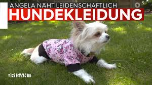 Hundepullover stricken kostenlose anleitung talu de / ausgewählt kein langes suchen mehr. Brisant Angela Naht Leidenschaftlich Hundekleidung Facebook