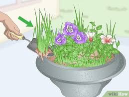 How To Plant In Urns 13 Steps With