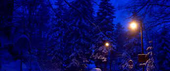 Download winter, night, street lights ...
