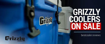 a comprehensive grizzly cooler review