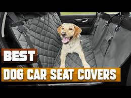 Best Dog Car Seat Cover In 2023 Top