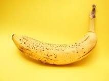 Can Vegans eat banana?