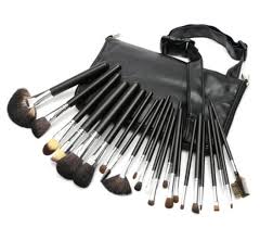 set of 24 makeup brushes with black bag