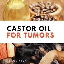 natural remes for tumors in dogs and
