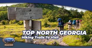 A hike up our mountain paths offers beautiful and distant. Top 22 North Georgia Hiking Trails Blue Sky Cabin Rentals