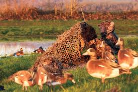 build a duck blind for less than 30