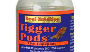 reef nutrition tigger pods