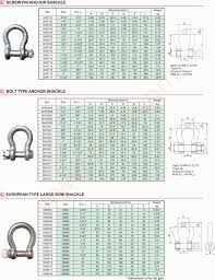 H Lift Drop Forged Shackle Bow Shackle Dee Shackle Grade