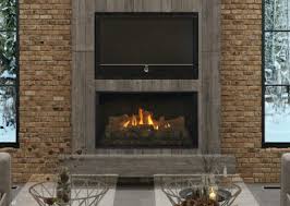 gas fireplaces free standing inserts
