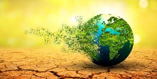 global climate action monash