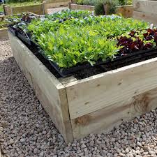 how to build a school vegetable garden