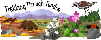 tundra biome ask a biologist
