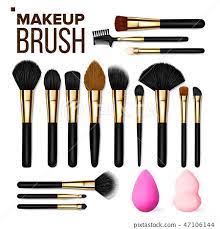 makeup brush set vector cosmetic