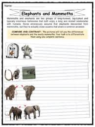 Elephant Facts Worksheets Habitat And Information For Kids