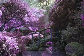 A Japanese Inspired Garden Design