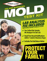 mold test kit pro lab test kits