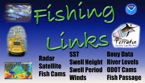Fishing Links