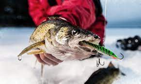 best walleye ice fishing rods 2021