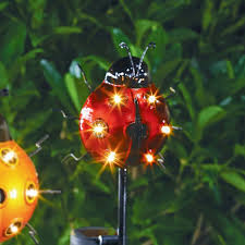 Solar Ladybird Stake Light
