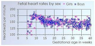 How To Have A Boy Or Girl Fetal Heart Rate And Baby Boy Or