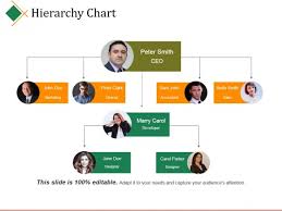 Hierarchy Chart Ppt Powerpoint Presentation Infographic