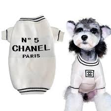 coco chanel dog sweater chanel puppy