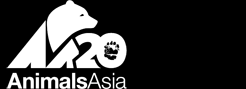Image result for animals asia