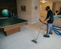 professional carpet cleaner