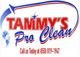 tammy s pro cleaning florida carpet kings