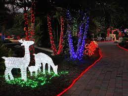 florida botanical gardens with lights