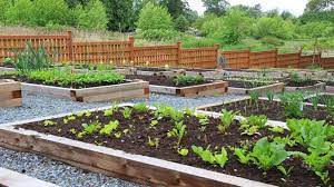 How To Start A Community Garden Truic