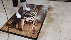 washing a carpet with a tiger pattern