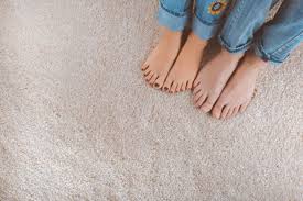 will replacing carpet remove pet odors