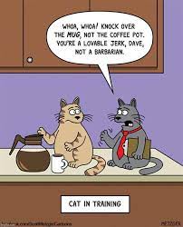 comics cartoons memes funny cats flip