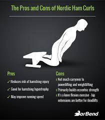 the nordic ham curl pros cons and