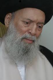 Sayyed <b>Mohammad Hussain</b> Fadlallah r.a. - Islamische Medien - Shia-Forum - sayyed-hussein-fadlallah