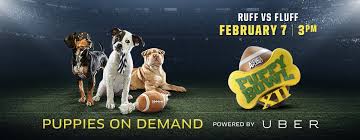 Uber is helping in a big way this superbowl weekend. Globalgiving Puppy Bowl