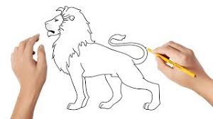 comment dessiner un lion you