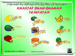 Learn vocabulary, terms and more with flashcards, games and other study tools. Buah Tempatan
