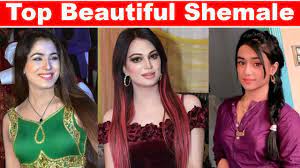 Top Most Beautiful Shemale In Pakistan 2021| Beautiful Transgender In  Pakistan | Khawaja Sara - YouTube